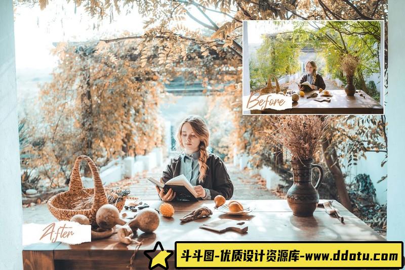 人像LR预设流行莫兰迪人像预设lr预设ps滤镜pr调色lightroom人像lut插件