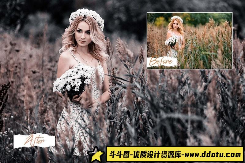 人像LR预设流行莫兰迪人像预设lr预设ps滤镜pr调色lightroom人像lut插件