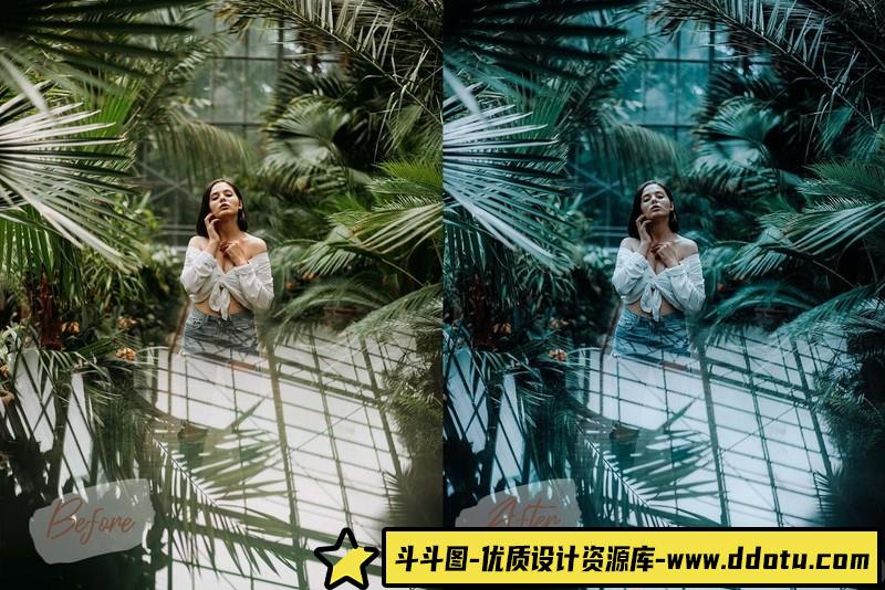 人像LR预设流行莫兰迪人像预设lr预设ps滤镜pr调色lightroom人像lut插件