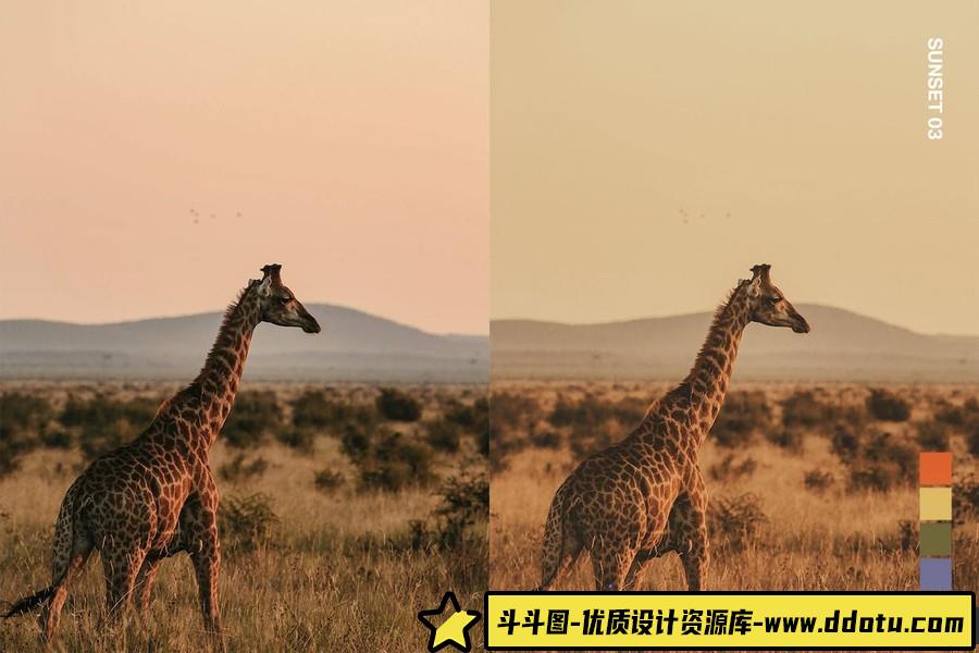 野生动物摄影后期Lightroom预设及电影短视频后期调色LUT预设