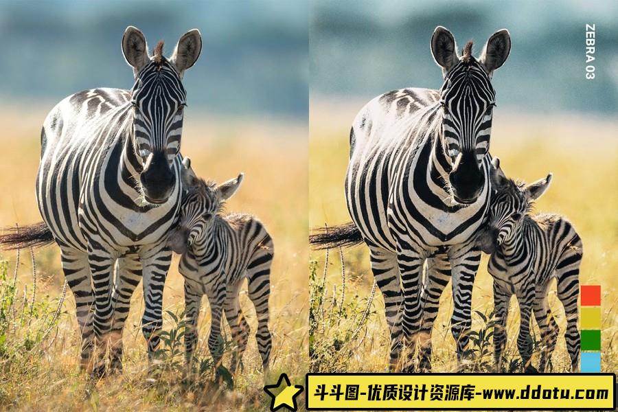 野生动物摄影后期Lightroom预设及电影短视频后期调色LUT预设