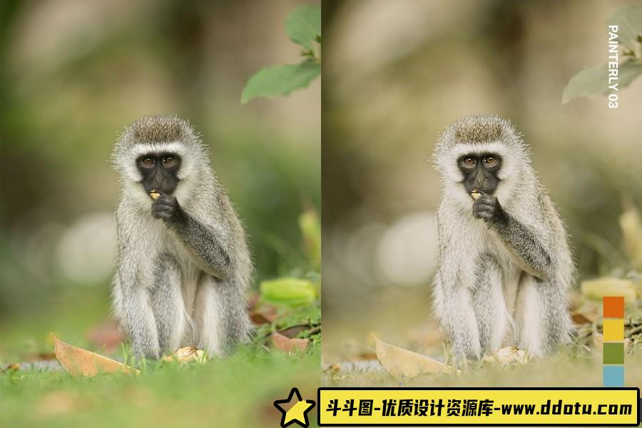 野生动物摄影后期Lightroom预设及电影短视频后期调色LUT预设