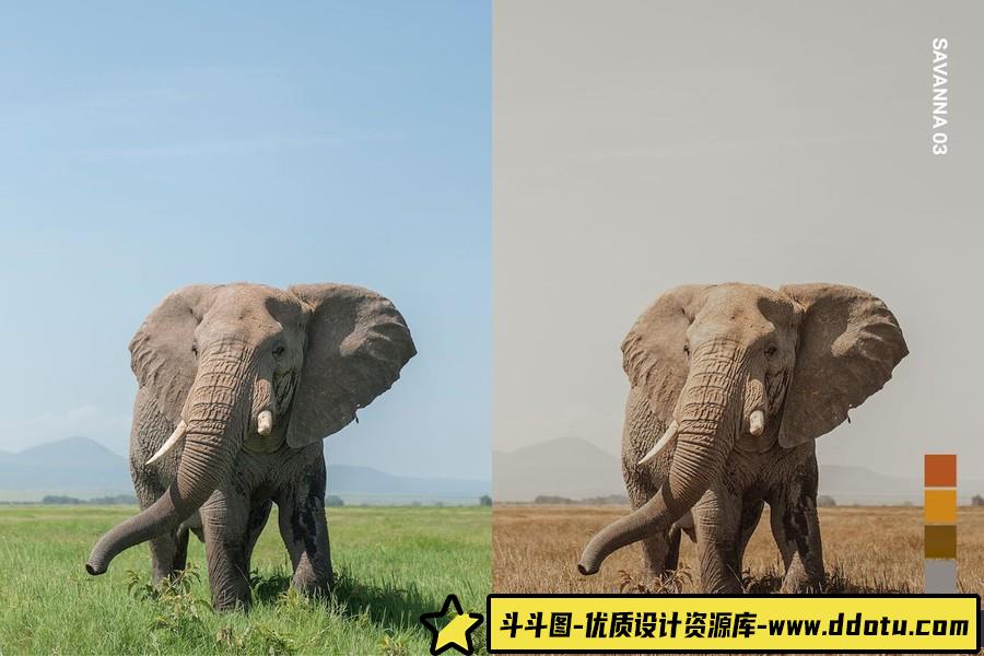 野生动物摄影后期Lightroom预设及电影短视频后期调色LUT预设