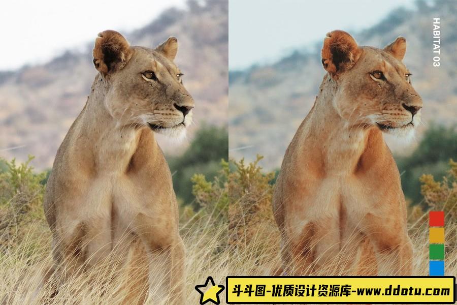 野生动物摄影后期Lightroom预设及电影短视频后期调色LUT预设