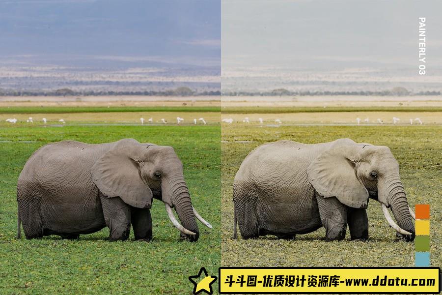 野生动物摄影后期Lightroom预设及电影短视频后期调色LUT预设