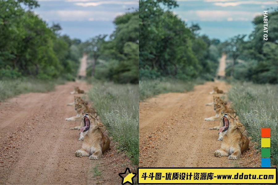 野生动物摄影后期Lightroom预设及电影短视频后期调色LUT预设