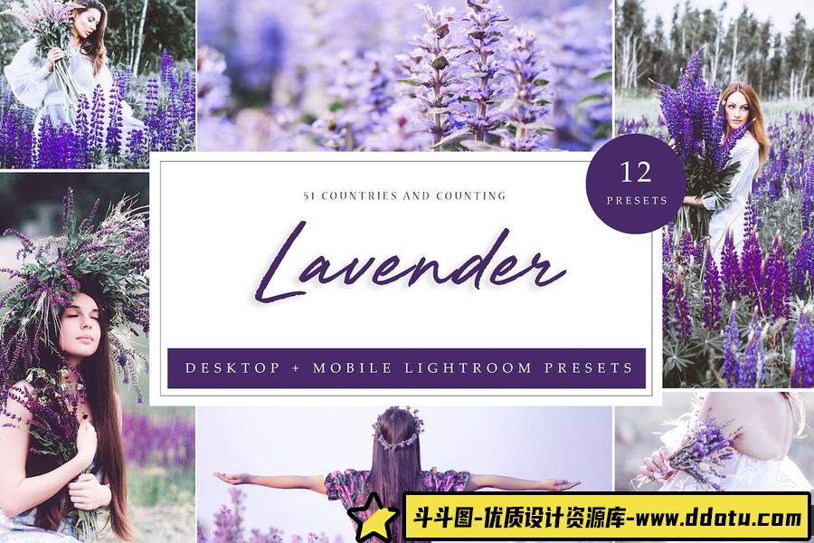 唯美薰衣草色调人像Lightroom预设 Lightroom Presets – Lavender-斗斗图
