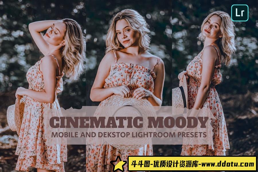 电影情绪人像后期调色Lightroom预设 Cinematic Moody Lightroom Presets-斗斗图