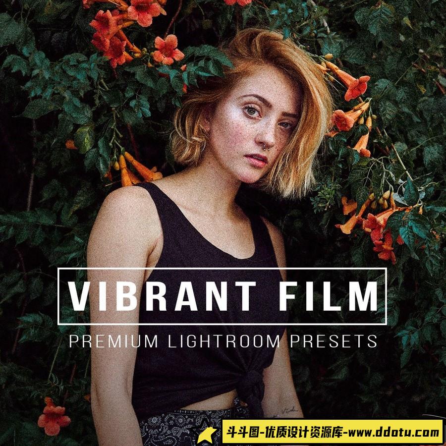 充满活力的电影胶片Lightroom预设 VIBRANT FILM Lightroom Presets-斗斗图