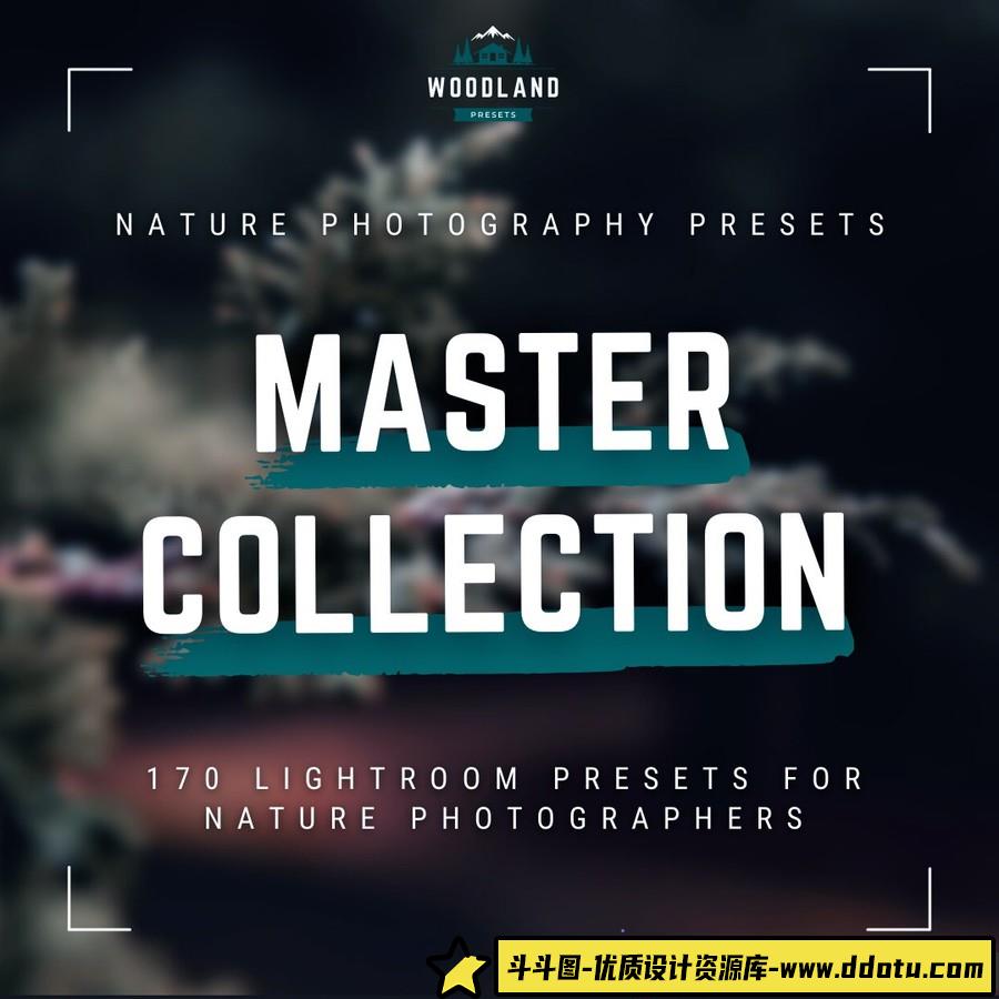 自然野生动物调色大师版LR预设Woodland- Master Collection Bundle-斗斗图