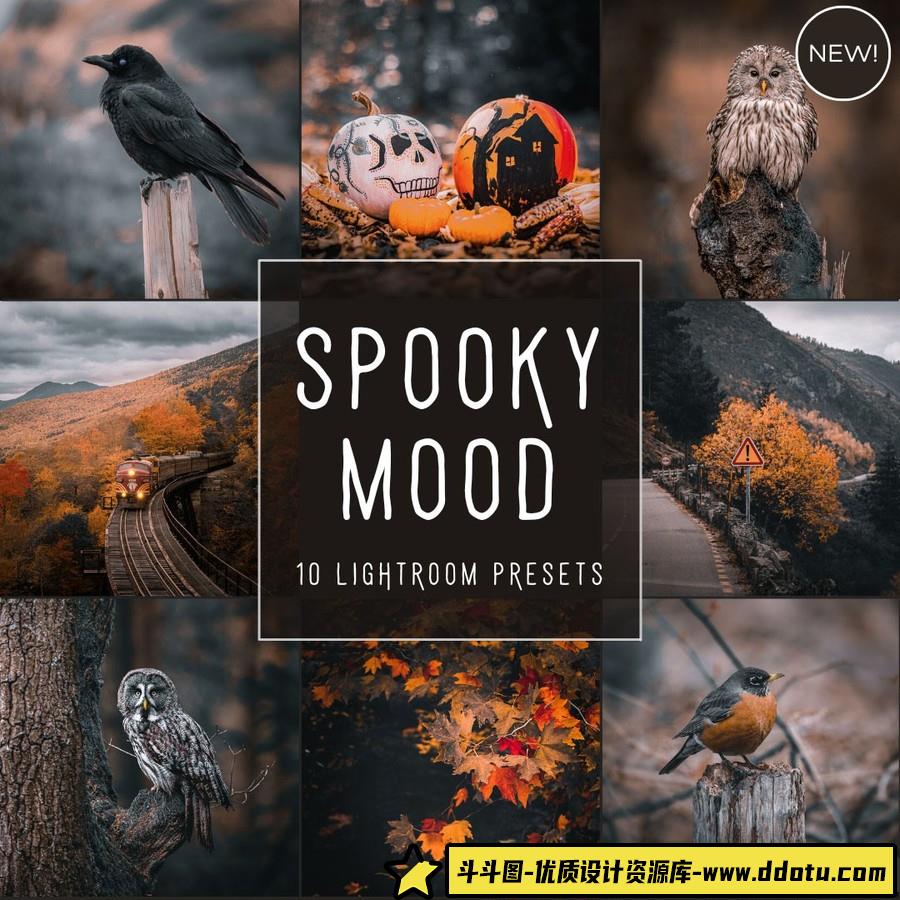 魔幻电影风光摄影后期调色Lightroom预设Spooky Mood LIMITED Presets-斗斗图