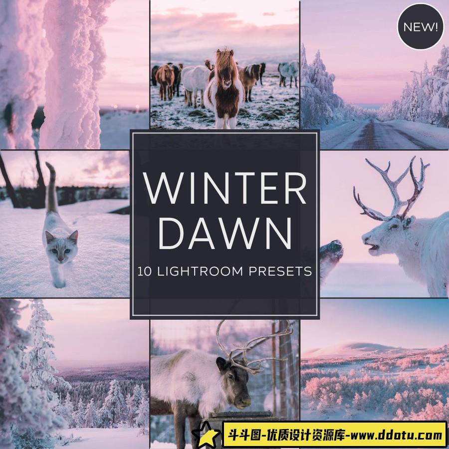 神秘梦幻自然摄影后期LR调色预设 Woodland – Winter Dawn Presets-斗斗图
