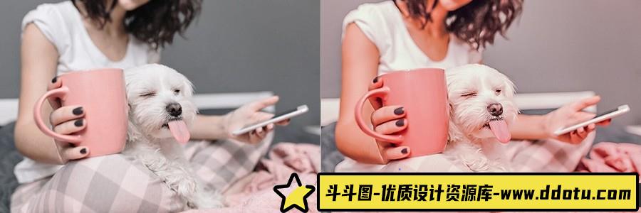 INS可爱棉花糖色调后期调色Lightroom预设 OnPresets-COTTON CANDY