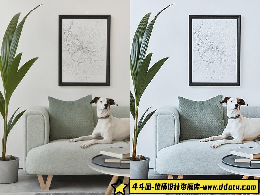 INS室内清新通透人像调色Lightroom预设 OnPresets- VANGUARD