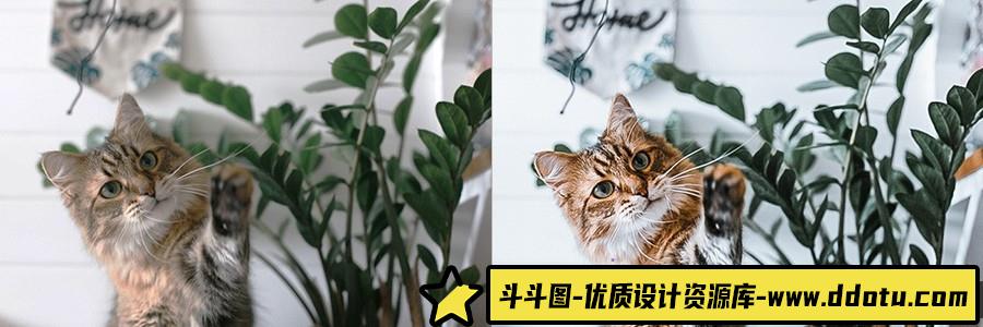 INS室内清新通透人像调色Lightroom预设 OnPresets- VANGUARD