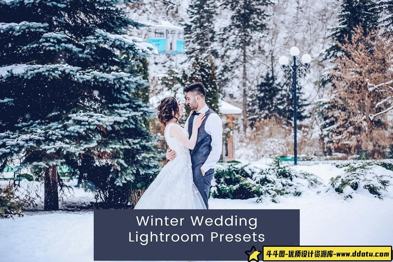 [免费LR预设]12种冬季婚礼人像调色Lightroom预设 Winter Wedding Lightroom Presets-斗斗图