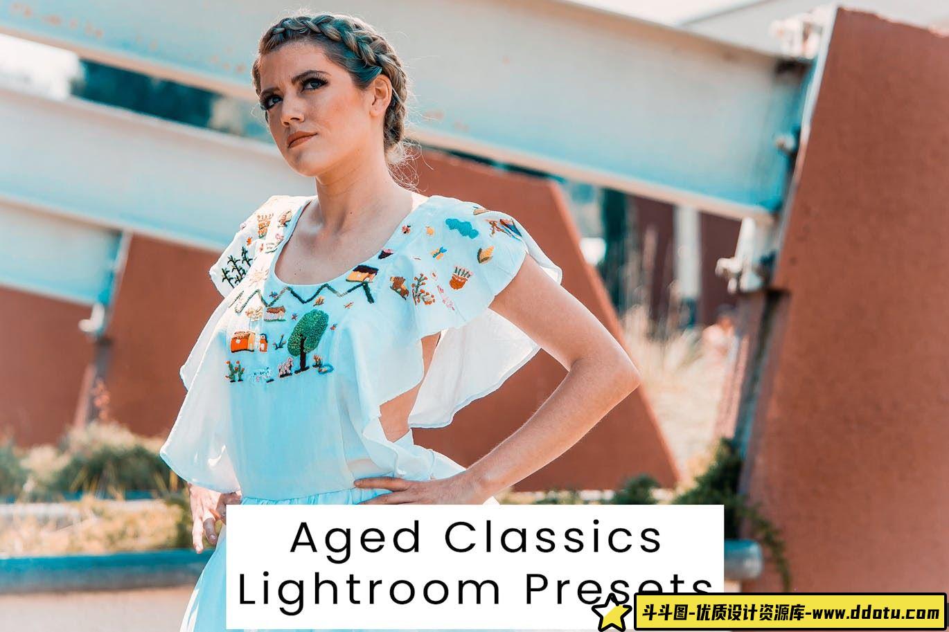 经典复古电影胶片Lightroom预设 Aged Classics Lightroom Presets-斗斗图