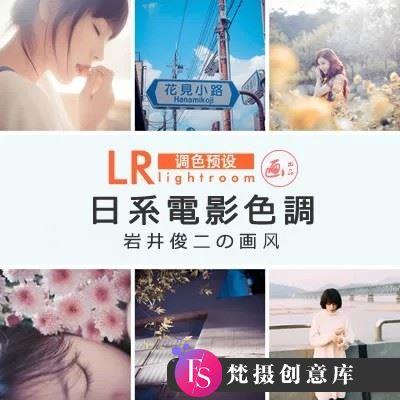 日系岩井俊二画风格/日系胶片电影文艺Lightroom预设-斗斗图