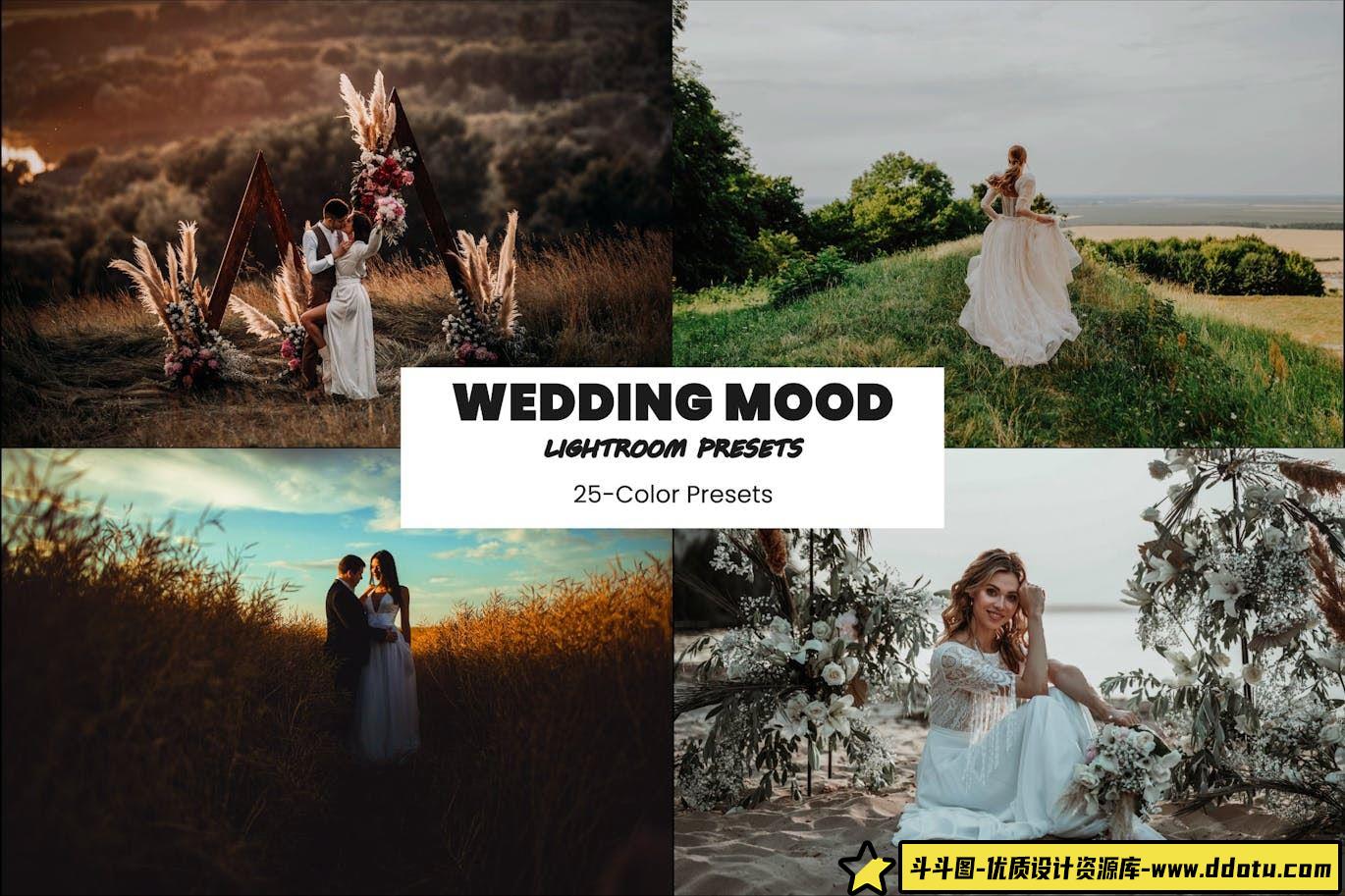 情绪电影婚礼人像调色LR预设 Wedding Mood Lightroom Presets-斗斗图
