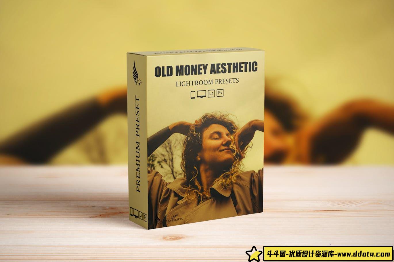 老式经典胶片风格lr预设 Old Money Aesthetic Lightroom Presets-斗斗图