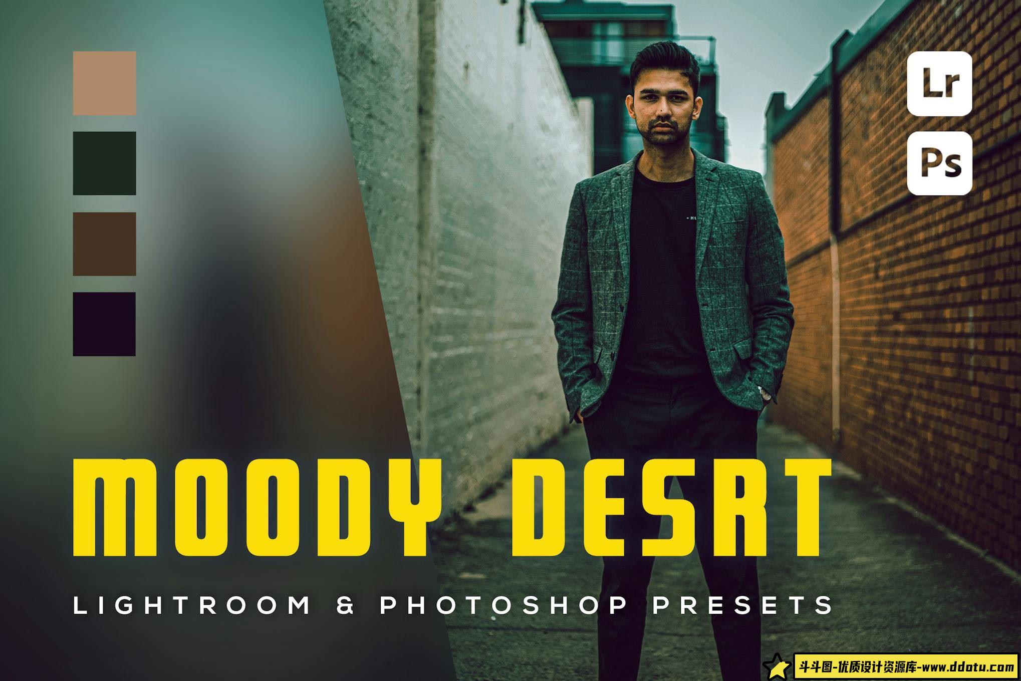 情绪影视胶片肖像LR预设 Moody Desrt LR预设-斗斗图