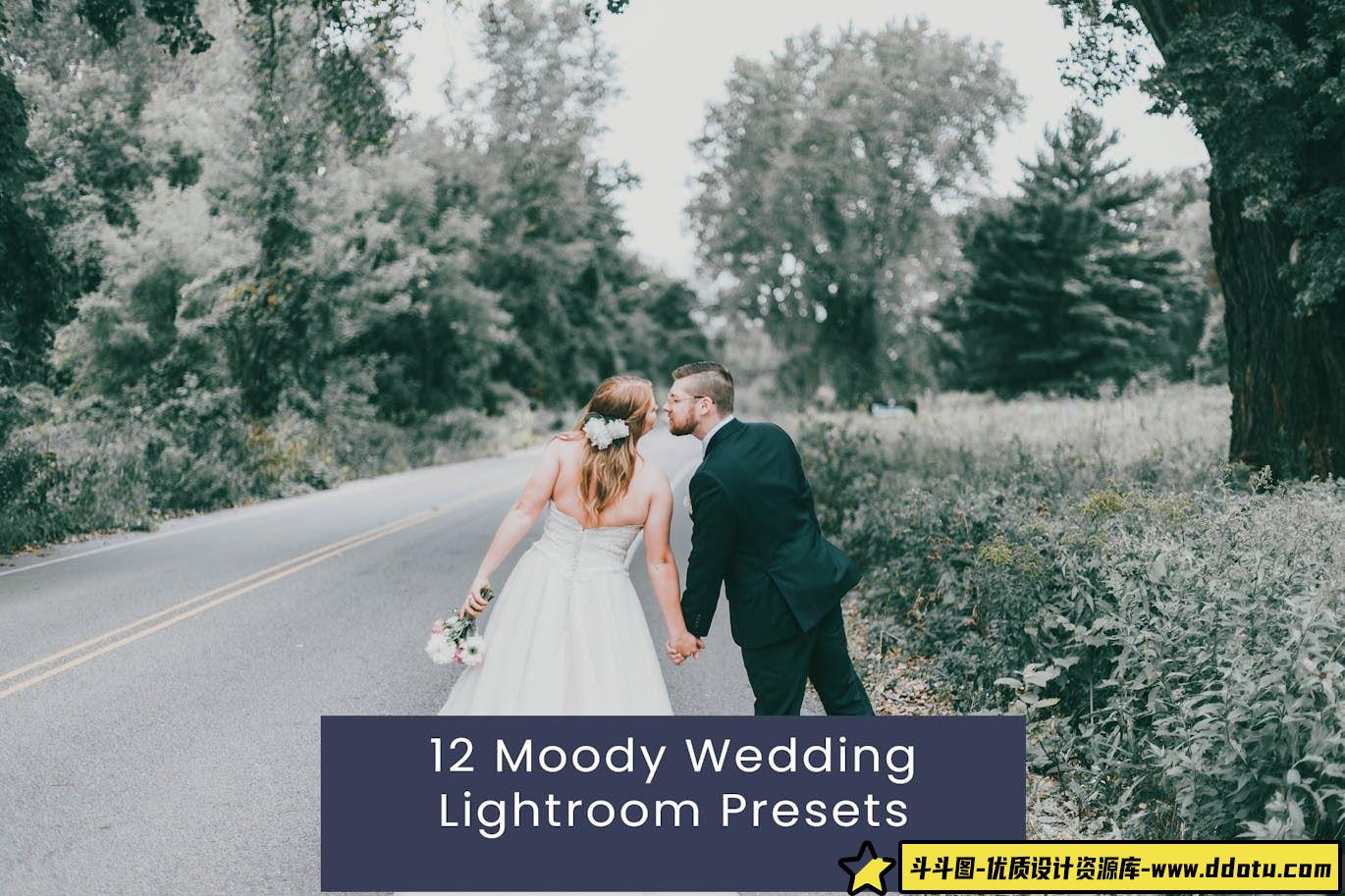 12种情绪影视婚礼肖像调色LR预设 Moody Wedding LR预设-斗斗图