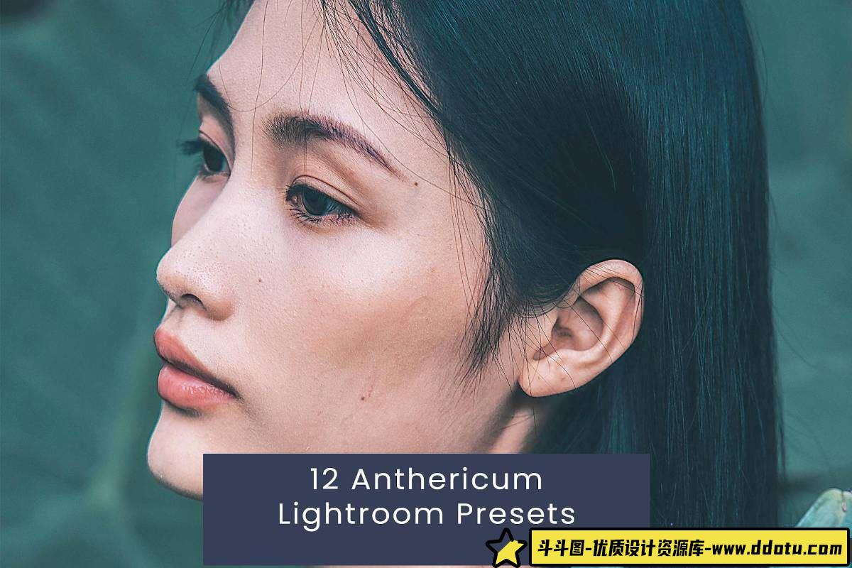 时尚胶片风人像后期调色：Anthericum Lightroom预设，打造专业级人像LR预设效果-斗斗图