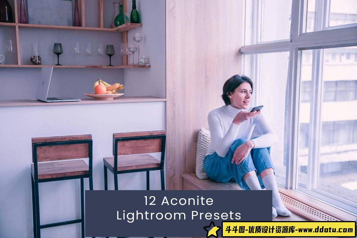 时尚电影色彩的人像调色神器：Aconite Lightroom预设，轻松打造个性化LR预设效果-斗斗图