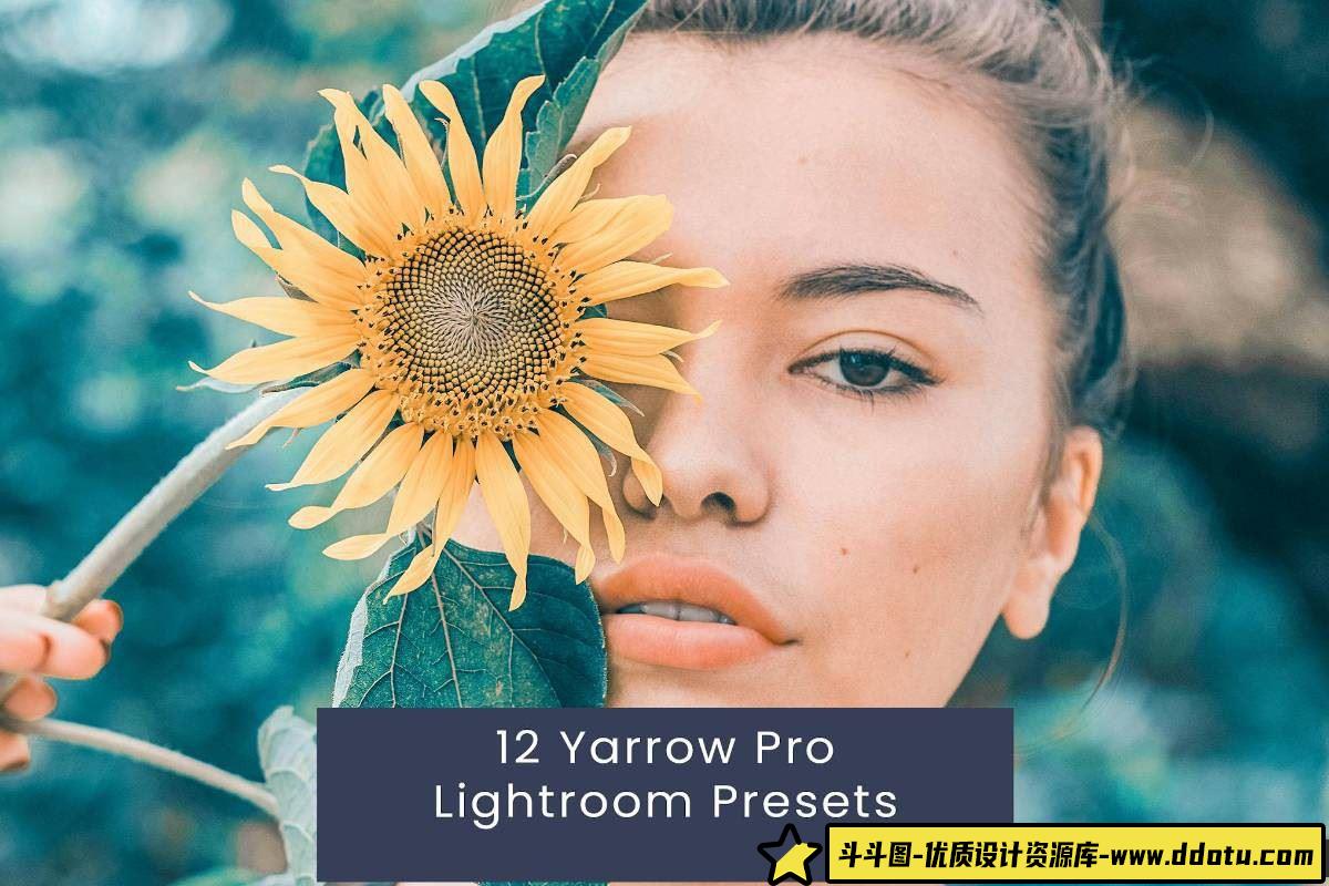复古外拍胶片人像LR预设——Yarrow Pro Lightroom Presets，为您的摄影增添经典胶片质感-斗斗图