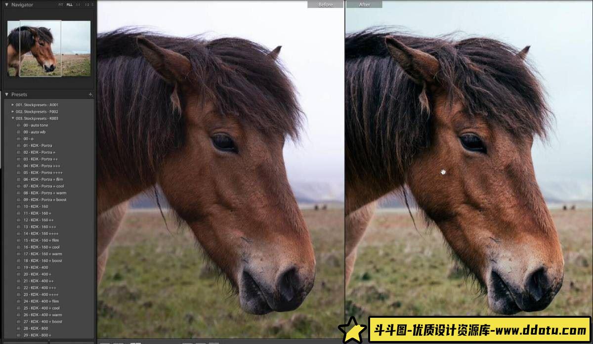 电影胶片模拟大师系列：6套LR预设，让你的照片焕发胶片质感魅力