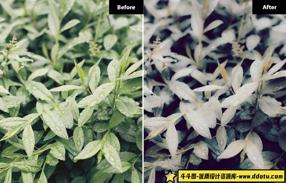 复古胶片LR预设：Rivalist Glow系列，赋予你的照片电影般的年代感