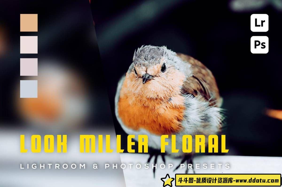 提升户外风光摄影效果的LR预设：Look Miller Floral调色方案分享-斗斗图
