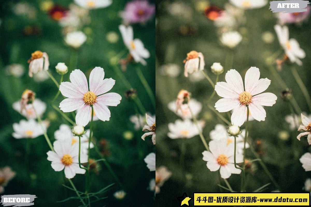 复古人文风光调色LR预设：旅拍必备的Sunday Lightroom桌面与移动版调色方案