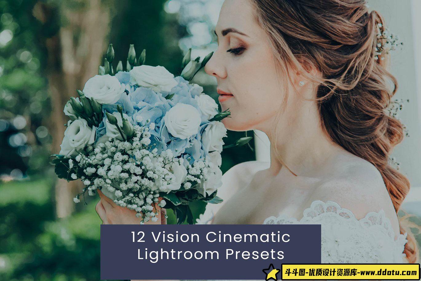 提升婚礼摄影质感：Vision Cinematic LR预设，完美胶片人像效果！-斗斗图