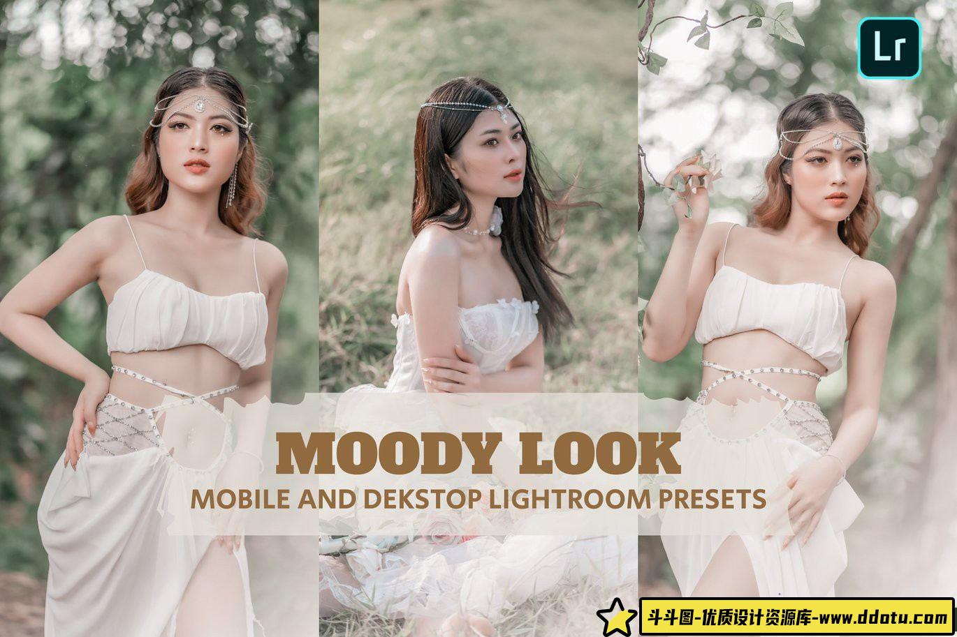 唯美胶片人像LR预设：Moody Look Lightroom预设，适用于桌面和移动设备-斗斗图