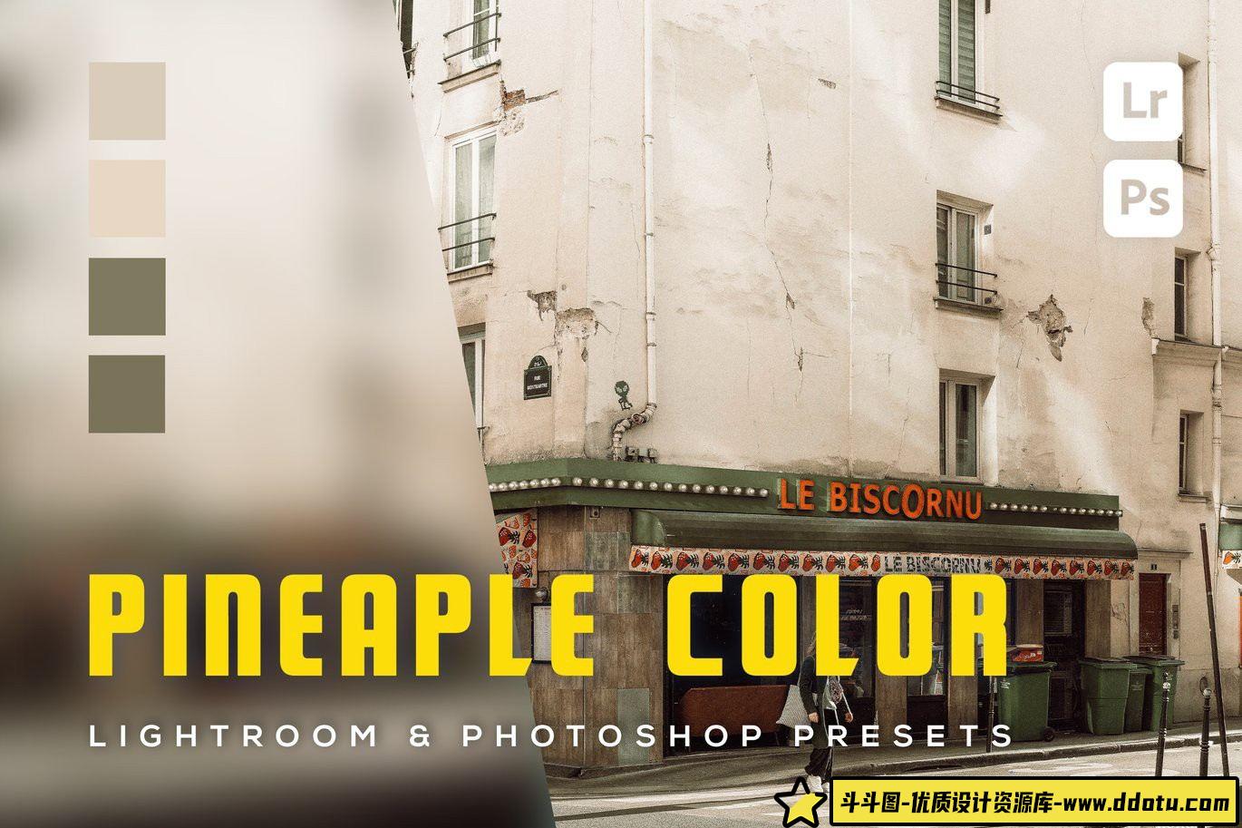 胶片LR预设复古电影胶片色彩lr预设 Pineaple color Lightroom and Photoshop-斗斗图