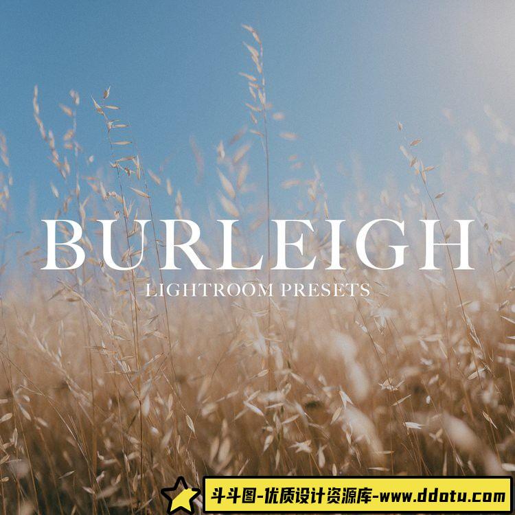 唯美人像LR预设：BURLEIGH去饱和干净风格 - 斗斗图-斗斗图