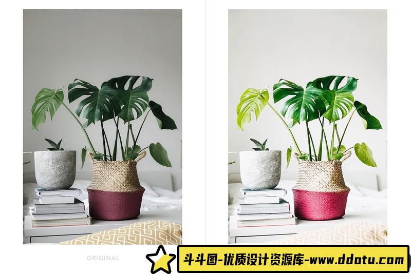 人像LR预设博客家庭人像预设与手机预设lr预设ps滤镜pr调色lightroom人像lut插件