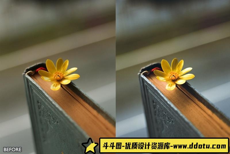 人像LR预设自然黄色调电影人像预设滤镜lr预设ps滤镜pr调色lightroom人像lut插件